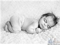 Kelly Ryden-婴幼儿摄影